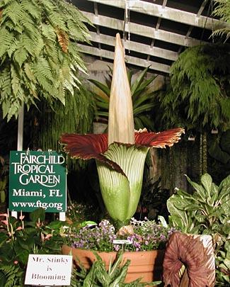 Carl Kruse Recommends Fairchild Tropical Botanic Garden Carl